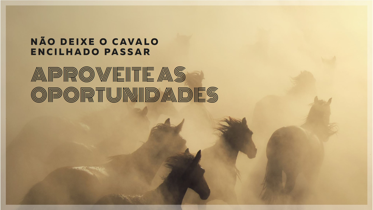 Cavalo encilhado não passa duas vezes!